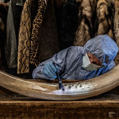 Newsletter thumbnail image