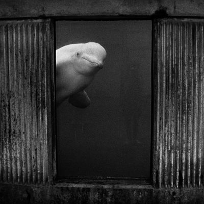 Newsletter thumbnail image