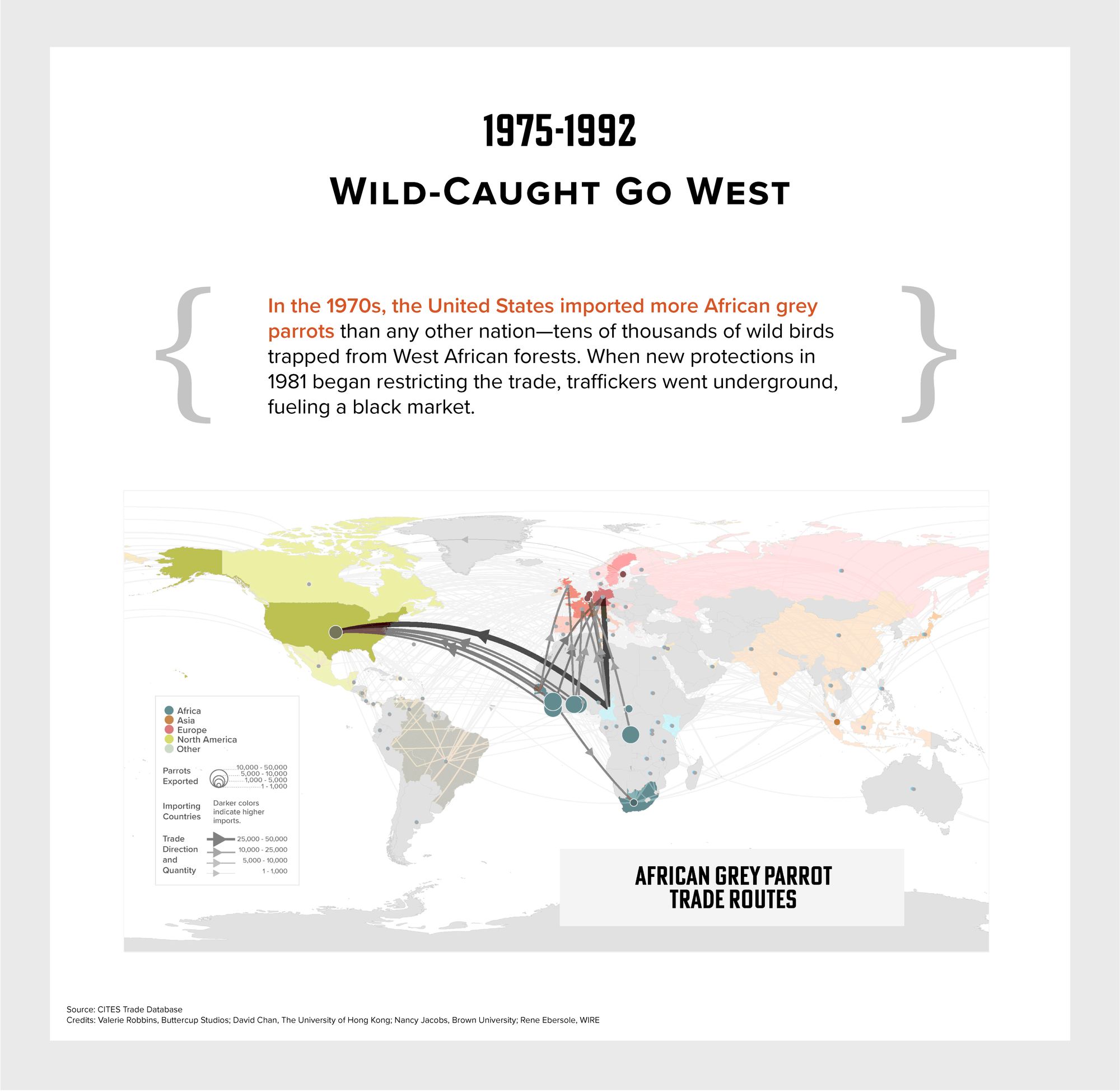 Map showing African grey parrot trade routes, 1975-92, primarily from West Africa to the U.S. and Europe. Most were wild-caught.