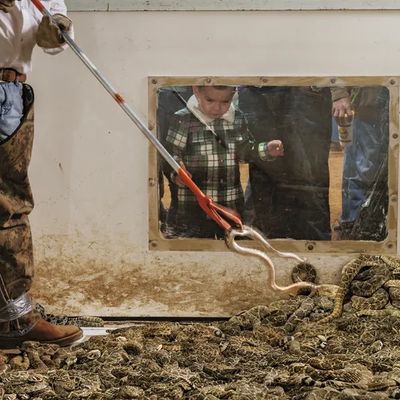 Newsletter thumbnail image