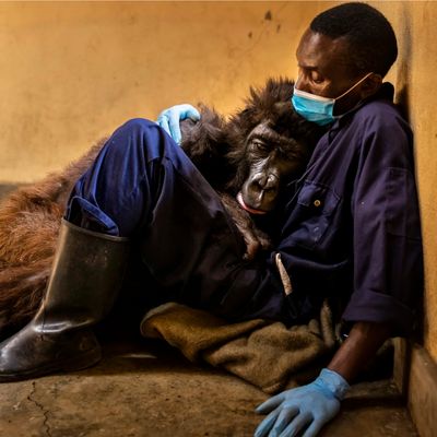 Newsletter thumbnail image