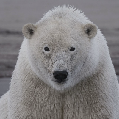 Newsletter thumbnail image