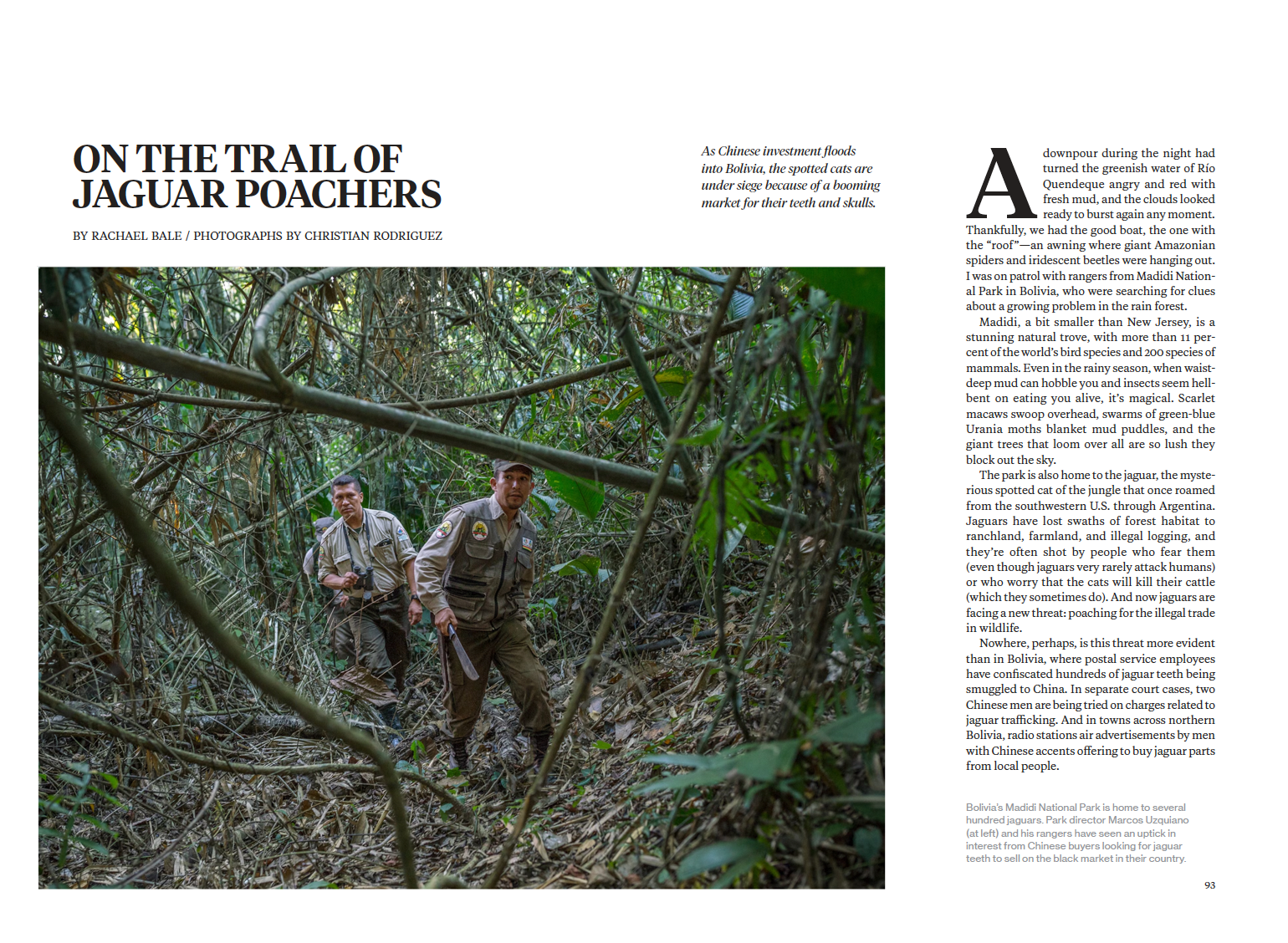 Park rangers walking through tropical forest