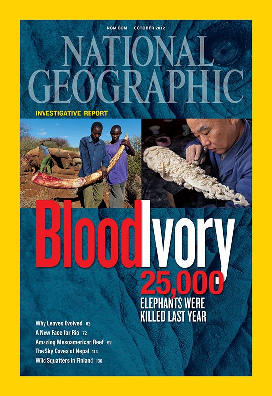 National Geographic magazine cover showing people holding bloody elephant tusk next to image of person inspecting intricately carved tusk