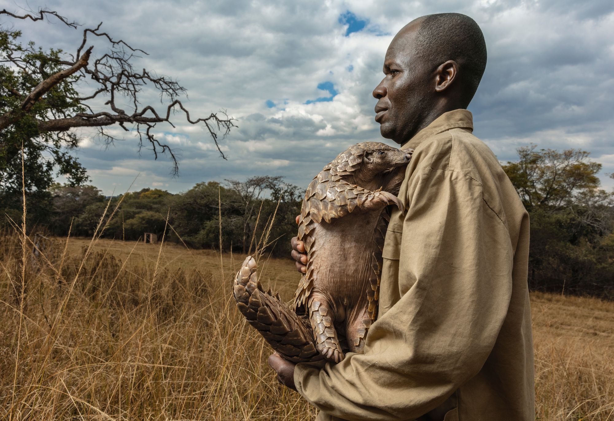 Person in grassy field holding pangolin