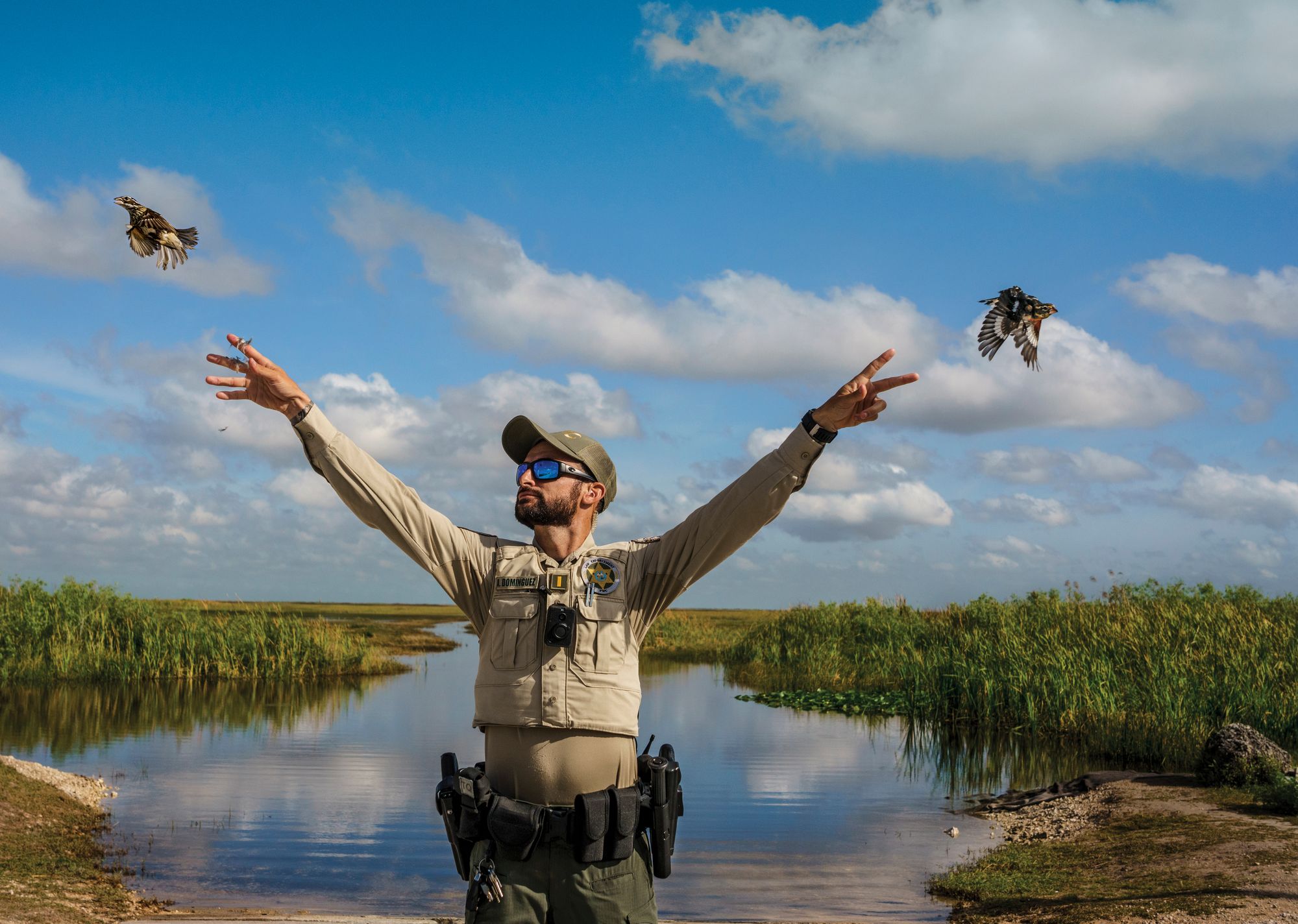 Wildlife official standing in river with both arms up, releasing songbird from each hand